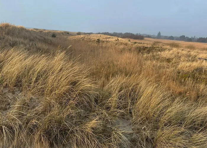 Nyaraló Summer House 300 M From